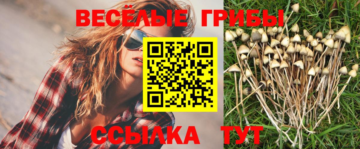 Галлюциногенные грибы мицелий  Псилоцибиновые грибы Cubensis  Вход с VPN  Подольск 